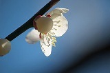 O  2011.02.22@r@~Ɠ.jpg